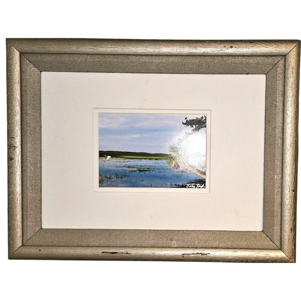 Framed Photograph Landscape Marsh By John Todd Wetlands‎ Scene Palm Tree & Egret